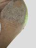 44053585